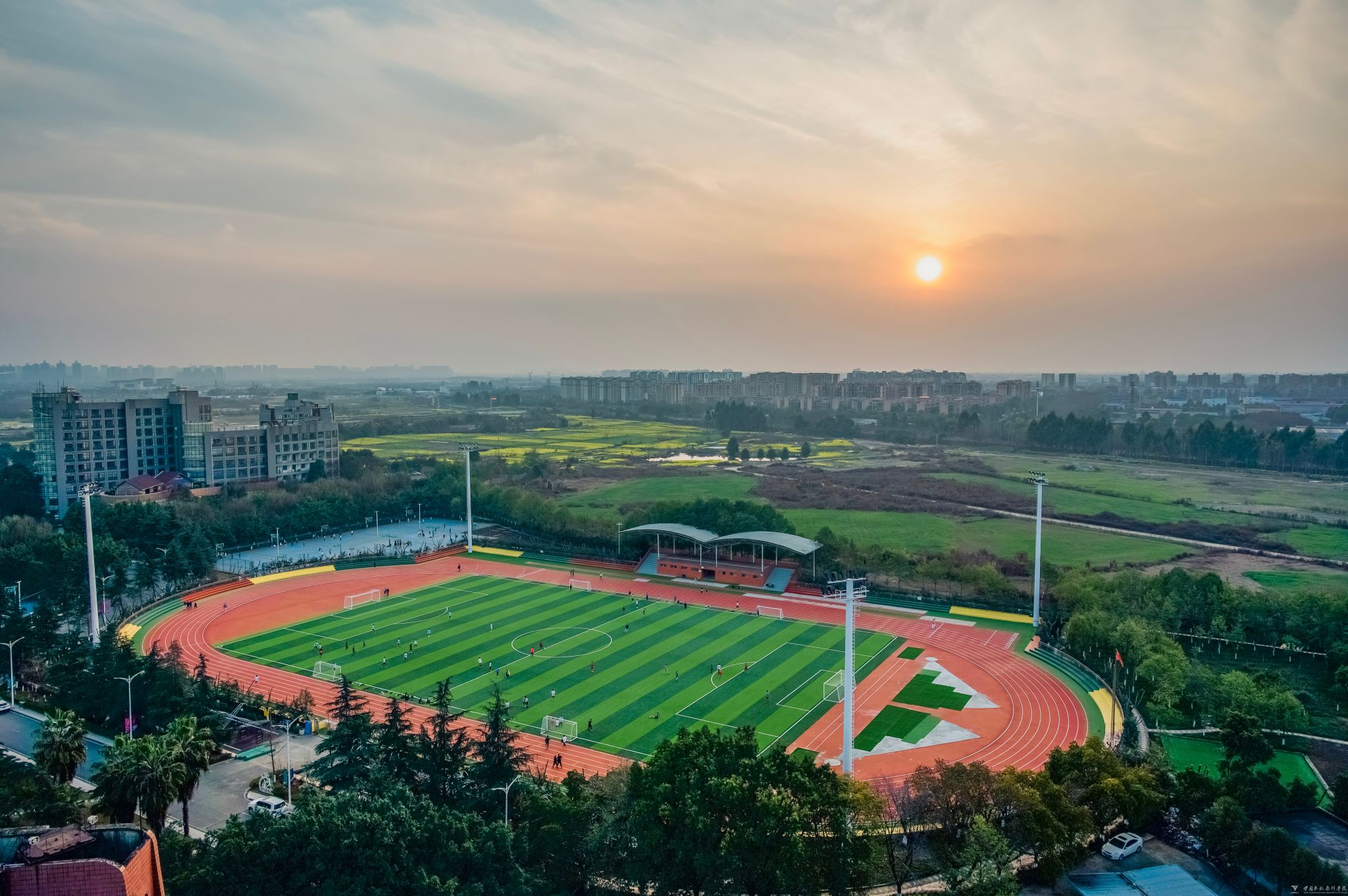 运动场